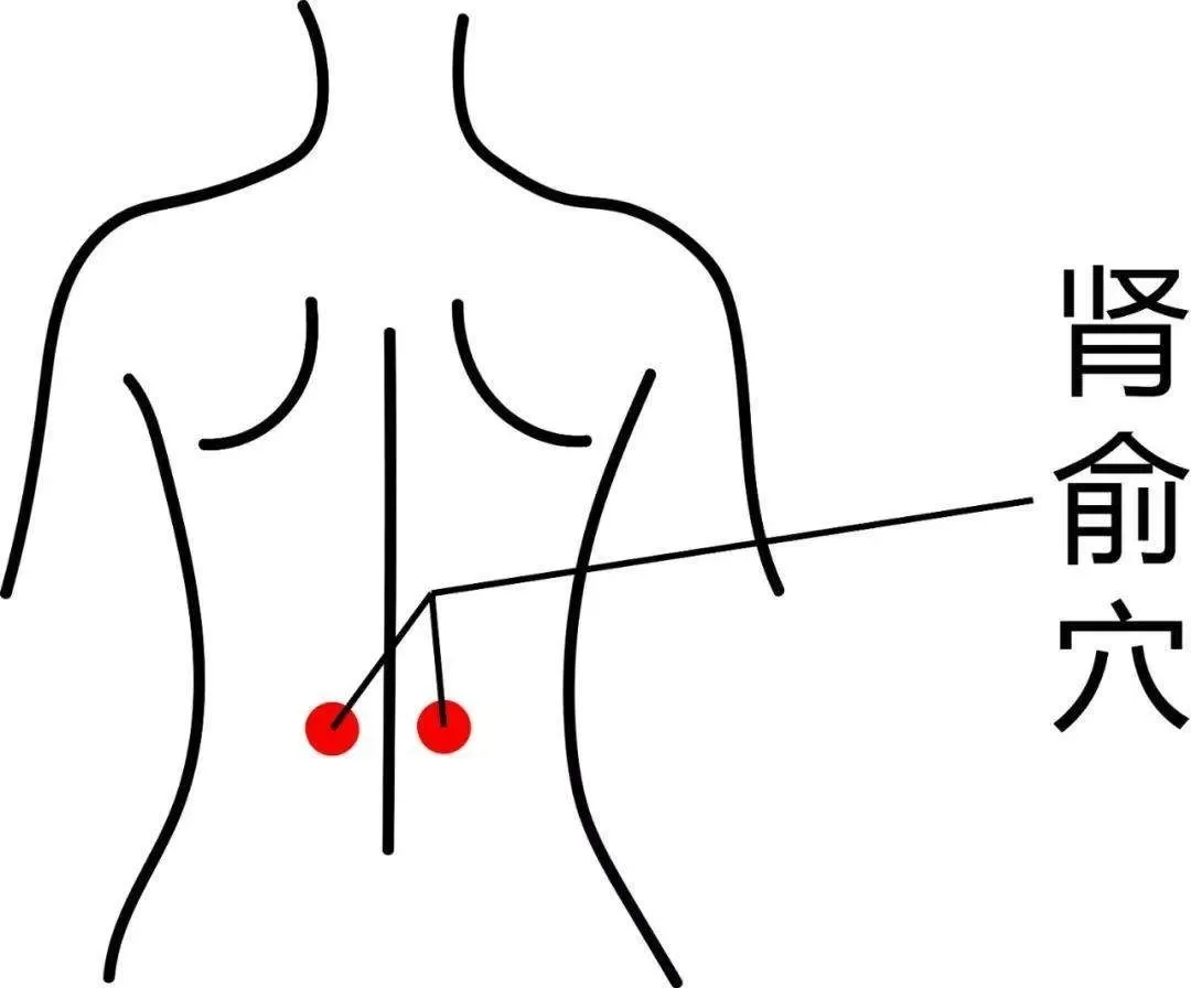 BL23 acupressure point on the lower back