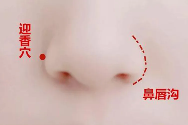 LI20 acupressure point beside the nostrils