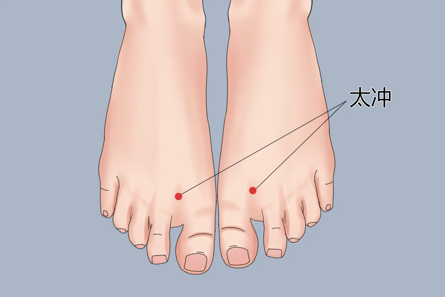 LV3 Taichong acupressure point on the top of the foot